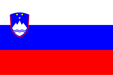 correct slovenian flag